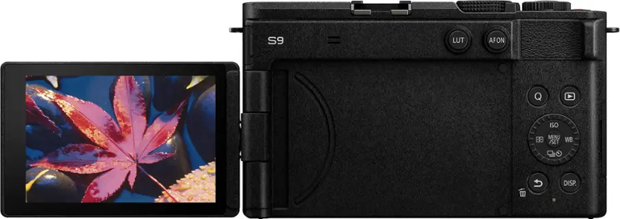 S9 LUT AFON Q sO N 1  WS & DISP