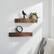 Angle. TRINITY - DRAKESTONE | Farmhouse Floating Shelf w/ Clavos | 2-Pack | Walnut - Walnut.