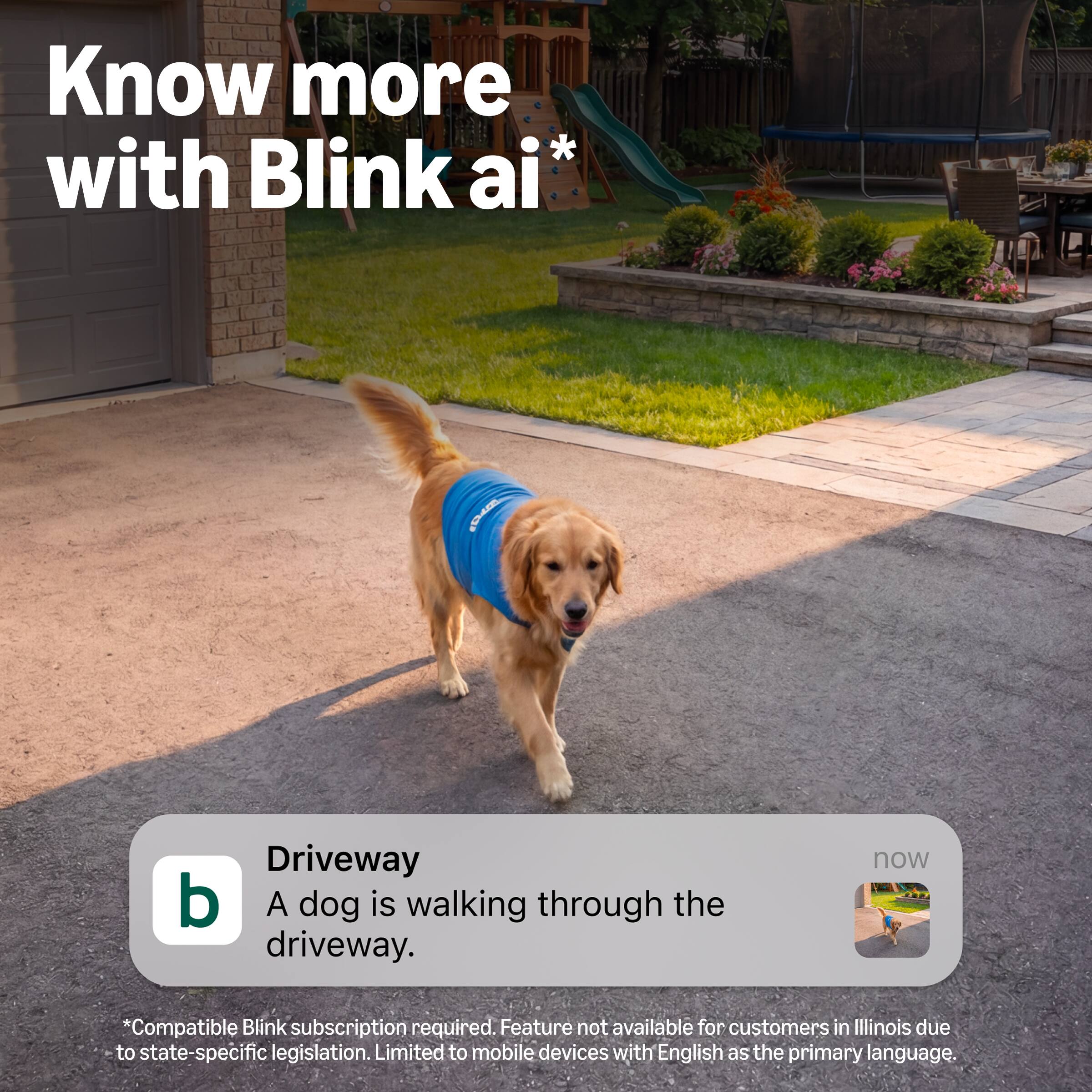 Know more with Blink ai*

Driveway
A dog is walking through the driveway.

now

*Compatible Blink subscription required. Feature not available for customers in Illinois due to state-specific legislation. Limited to mobile devices with English as the primary language.
