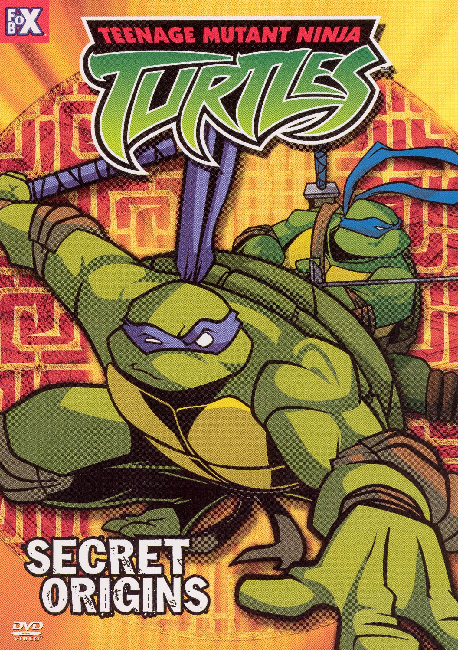 Best Buy: Teenage Mutant Ninja Turtles, Vol. 10: Secret Origins [DVD]