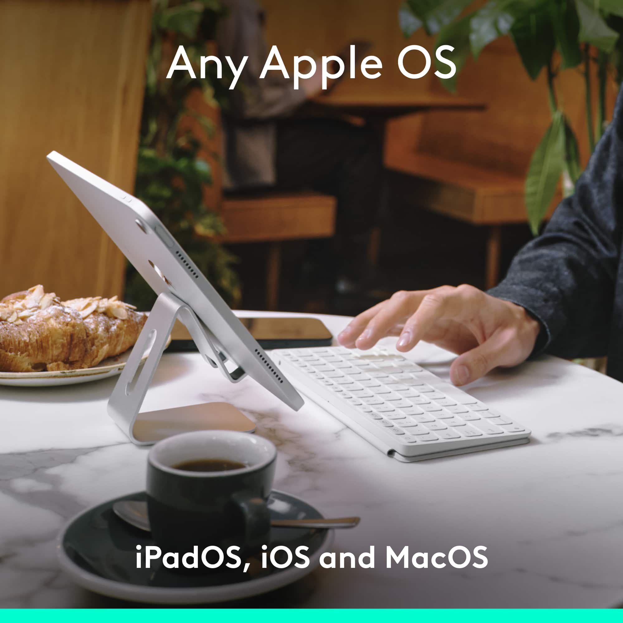 Any Apple OS - iPadOS, iOS and MacOS