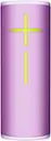 Enchanting Lilac