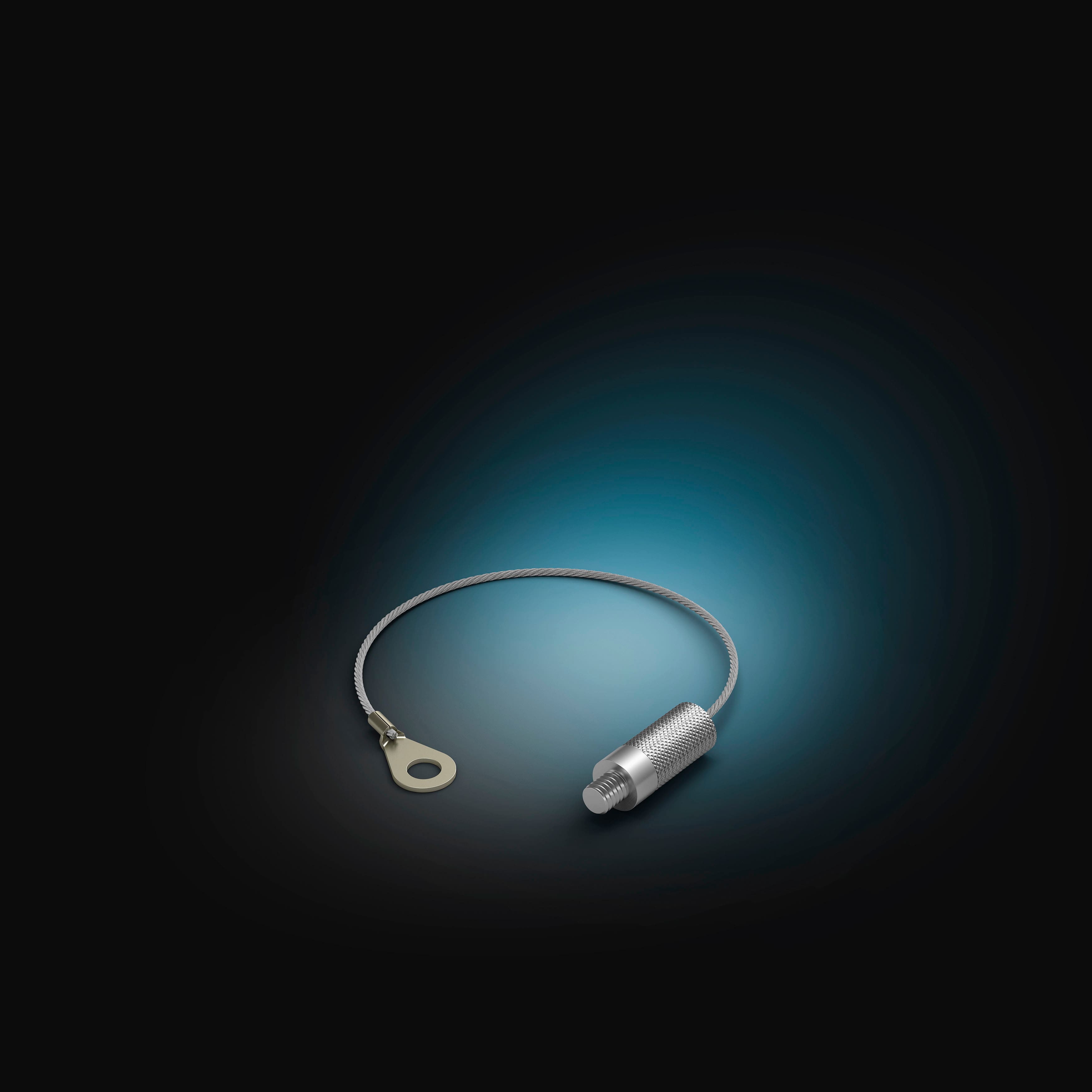 Philips Hue Security Camera AntiDrop 5ft Cable Silver 582403 Best Buy