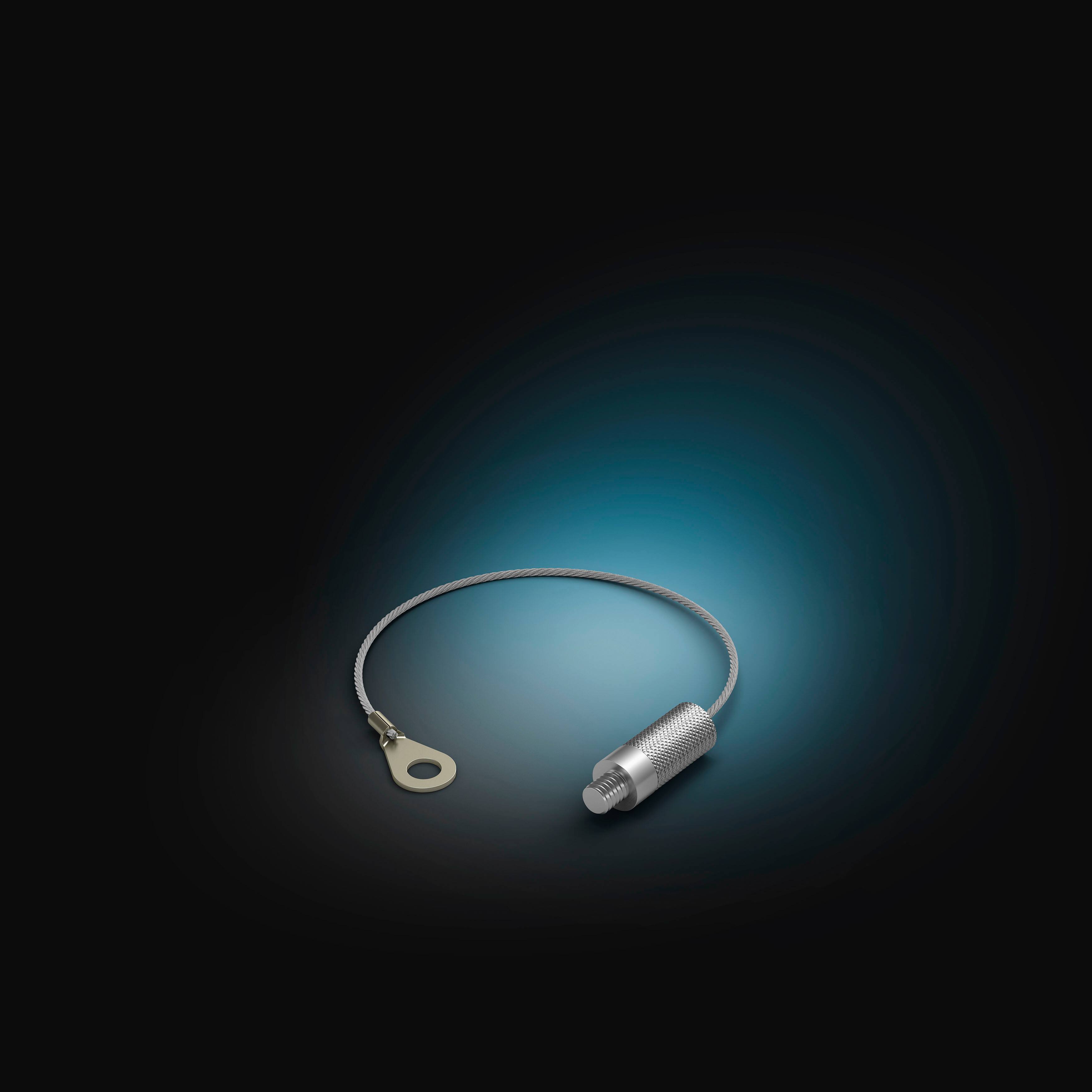 Alt View 1. Philips - Philips Hue Security Camera Anti-Drop 5ft Cable - Silver.