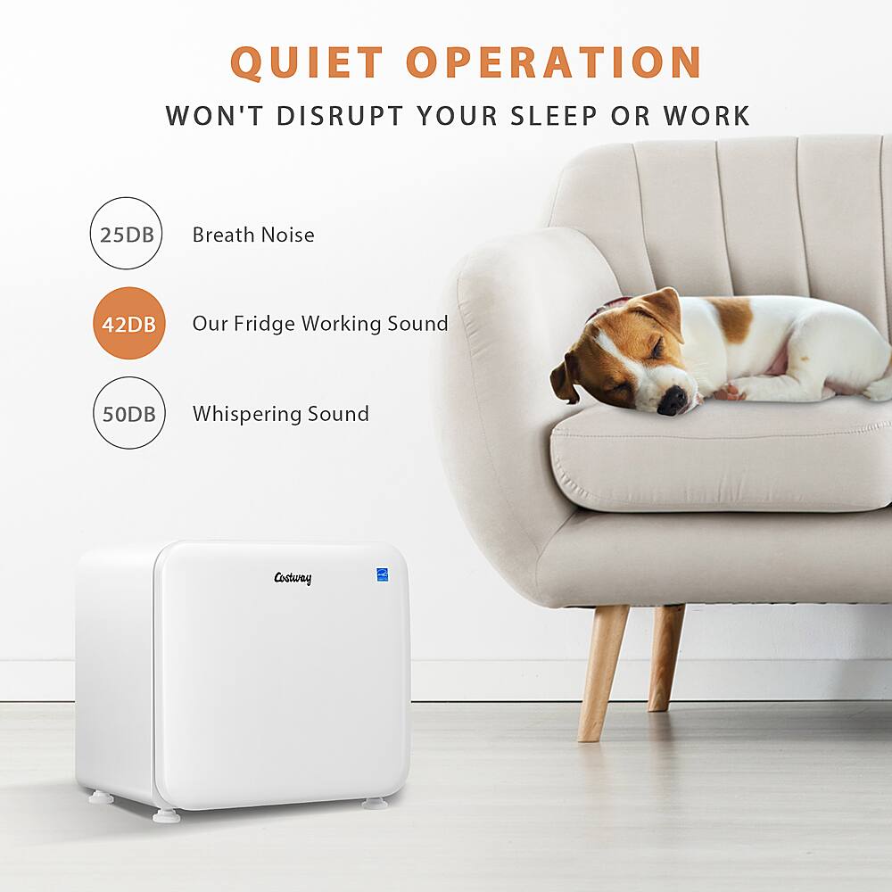 QUIET OPERATION WON'T DISRUPT YOUR SLEEP OR WORK 25DB Breath Noise 42DB Our Fridge Working Sound 50DB Whispering Sound Costway