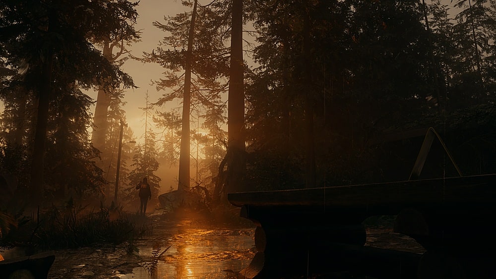 Alt View 11. Epic Games - Alan Wake 2.