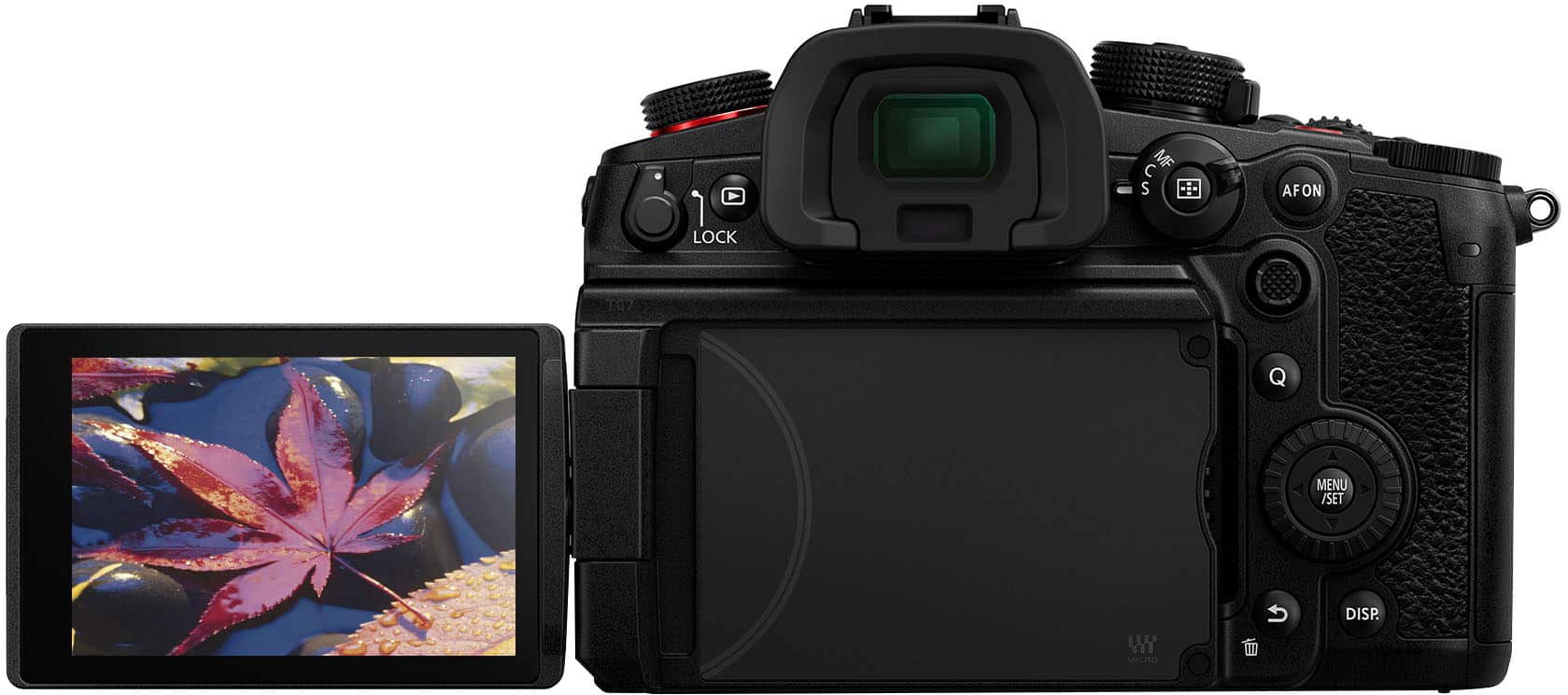 The text on the image reads: "1 LOCK C 5 AF ON e MENU SET WY C DISP." This text is likely related to the camera settings, such as locking the focus, adjusting the autofocus, or setting the menu display.