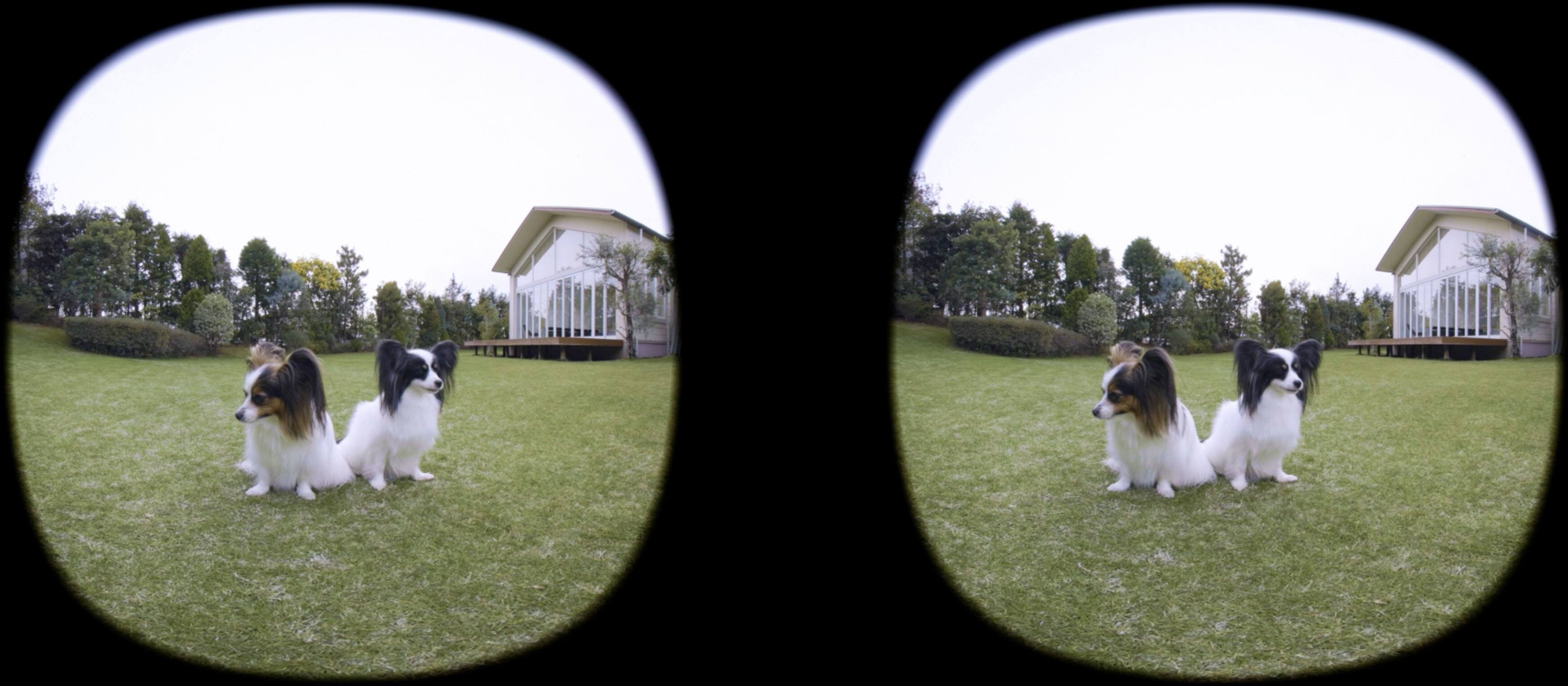 Alt View 17. Canon - RF-S3.9mm F3.5 STM Dual Fisheye Lens for Select EOS-R Series Cameras - Black.