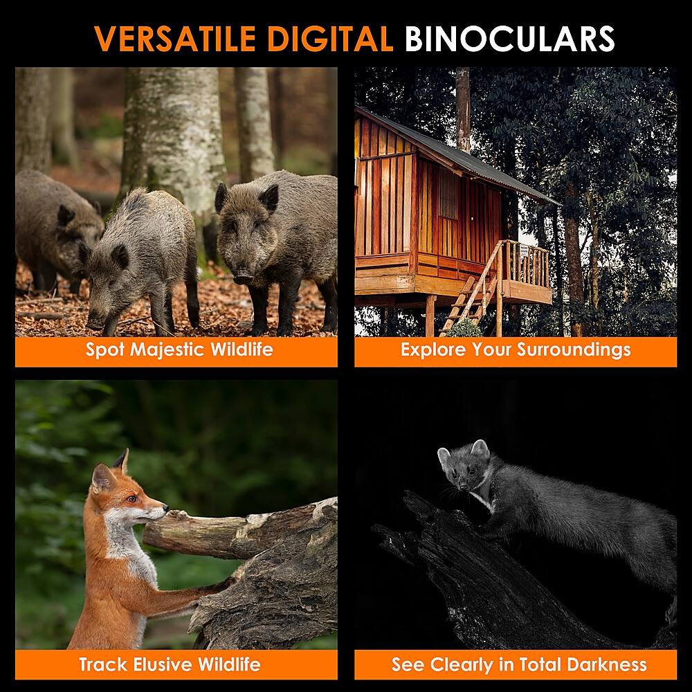 Versatile Digital Binoculars:
1. Spot Majestic Wildlife:
2. Explore Your Surroundings:
3. Track Elusive Wildlife:
4. See Clearly in Total Darkness: