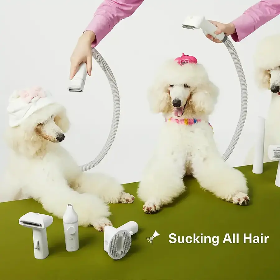 Sucking All Hair