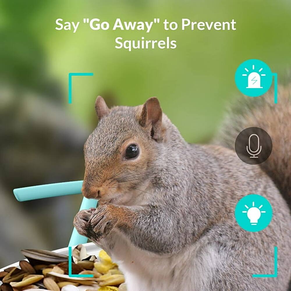 Say "Go Away" to Prevent Squirrels