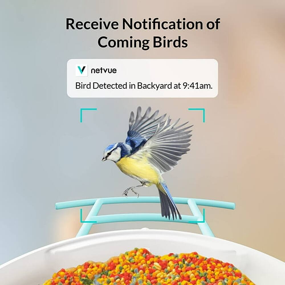 Receive Notification of Coming Birds. Bird detected in backyard at 9:41am.