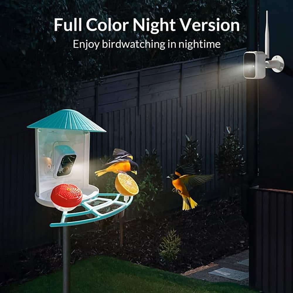 Full Color Night Version Enjoy birdwatching at night.