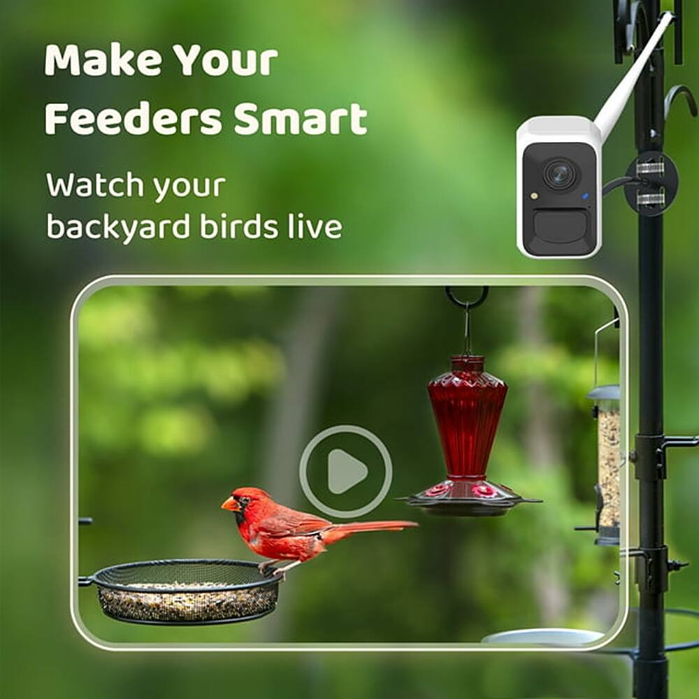 Make Your Feeders Smart: Watch Your Backyard Birds Live