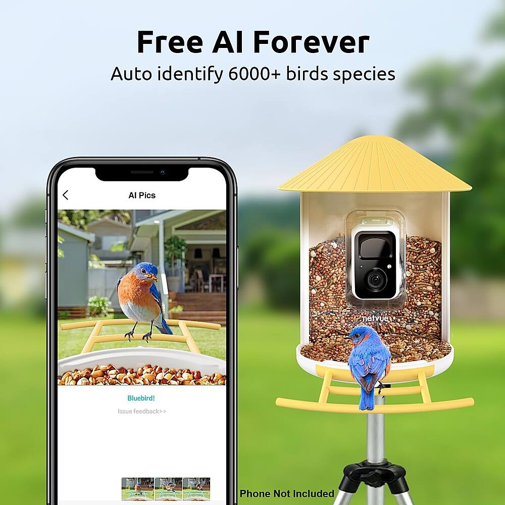 Free AI Forever Auto identify 6000+ bird species AI Pics netvue Bluebird! Issue feedback>> Phone Not Included