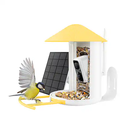 Front. BIRDFY - Smart Wild Bird Feeder w/HD Camera, Solar Power, and AI Enabled Bird Recognition - Yellow and White.