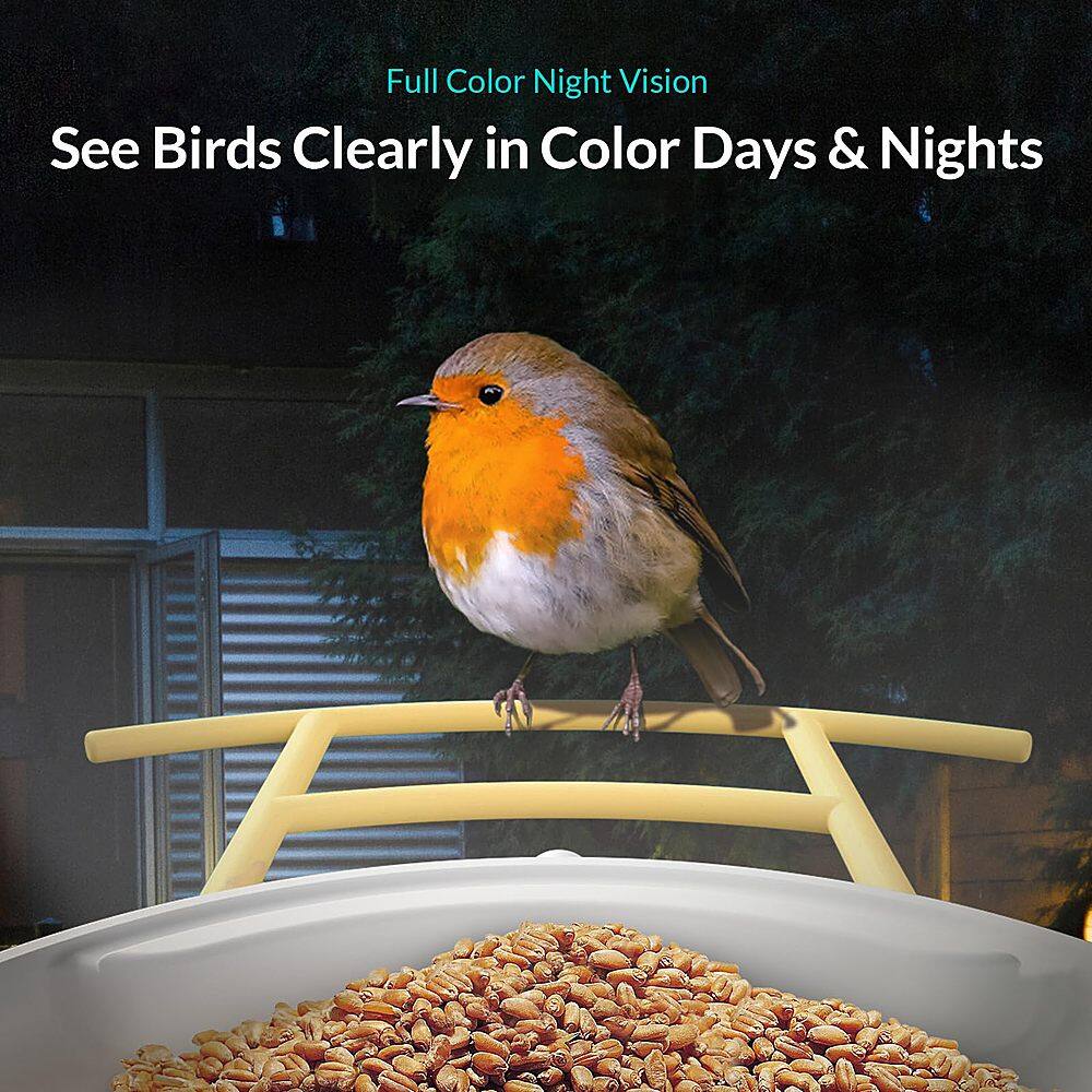 Full Color Night Vision: See Birds Clearly in Color Days & Nights