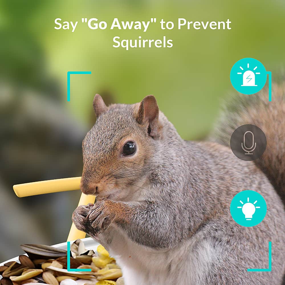 Say "Go Away" to Prevent Squirrels
