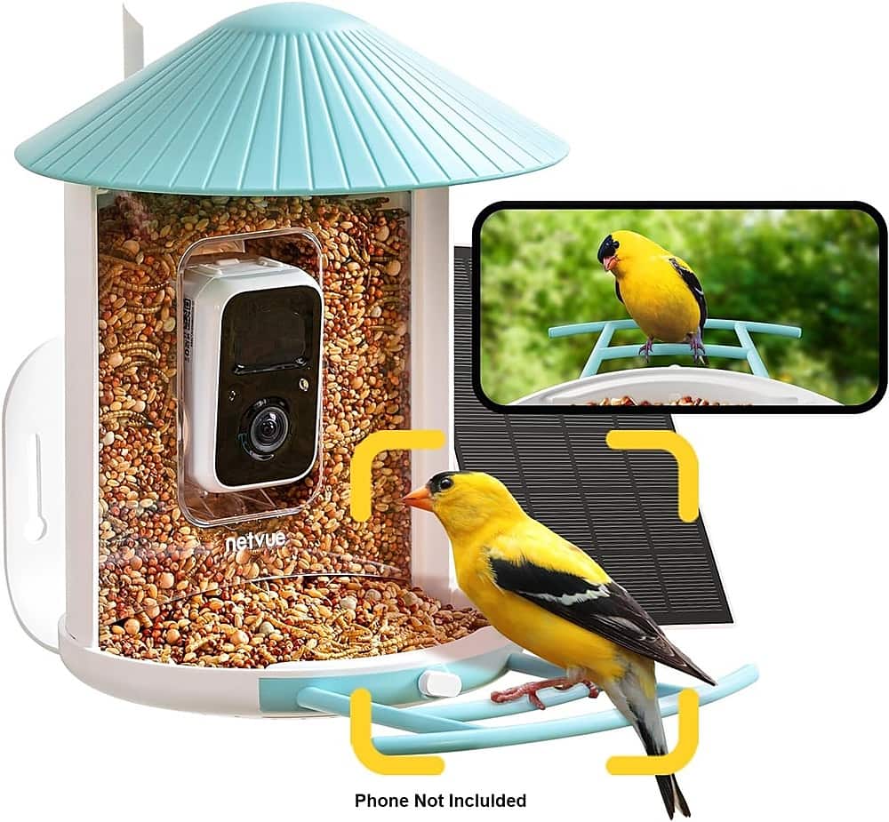 BIRDFY - Smart Wild Bird Feeder with Camera for Outdoor, Solar Power & AI Enabled Bird Recognition - Blue and White - Front_Zoom