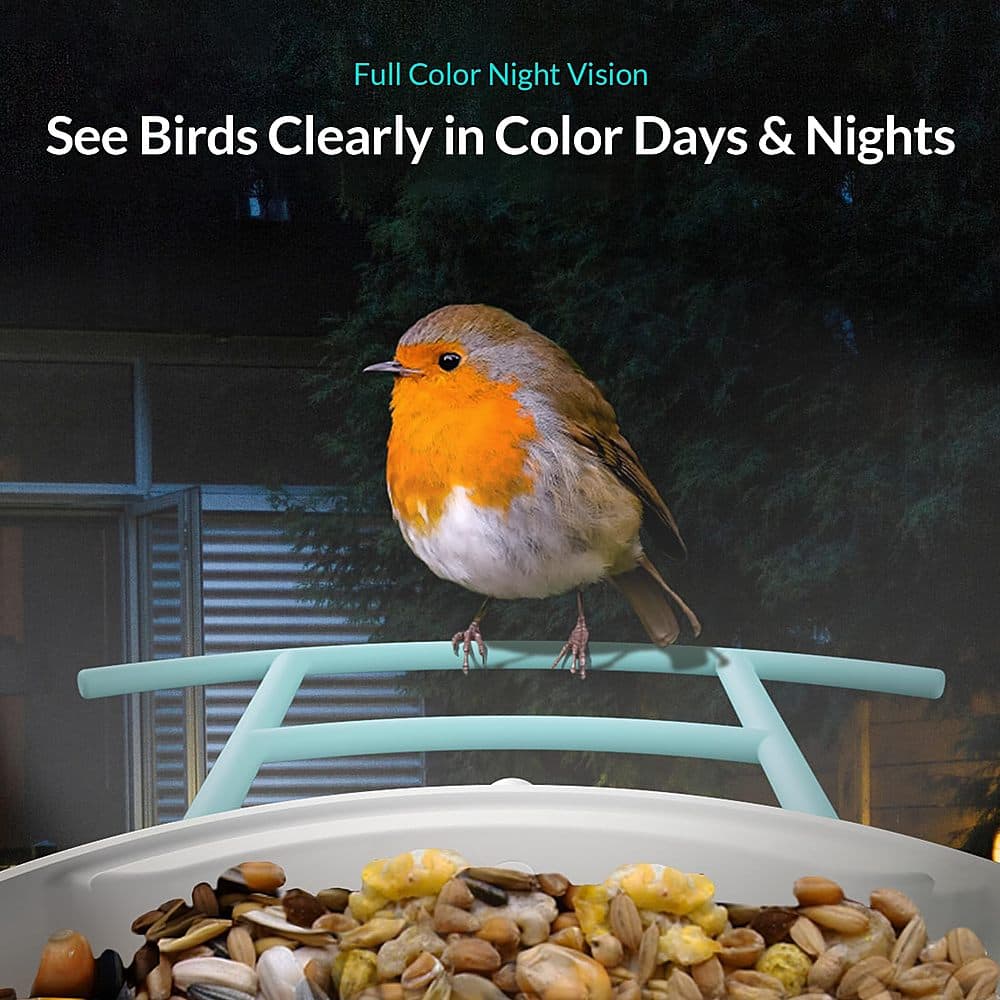Full Color Night Vision: See Birds Clearly in Color Days & Nights