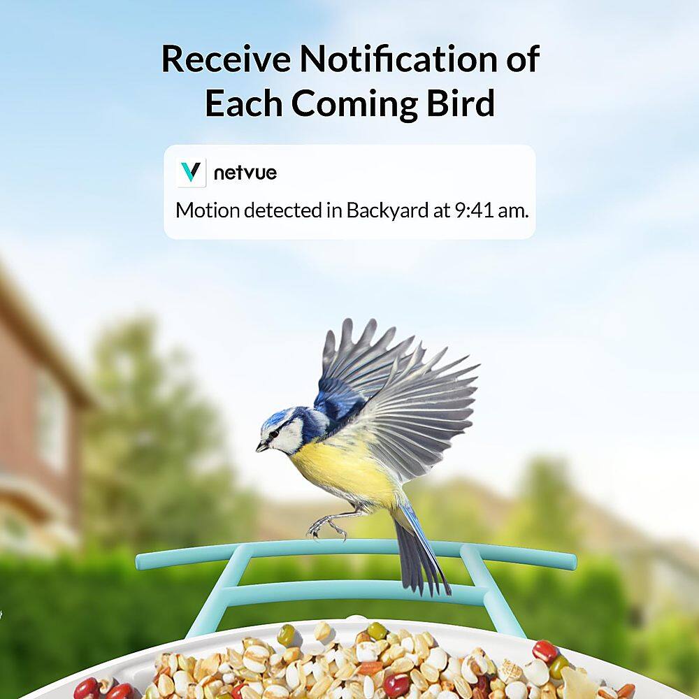 Receive Notification of Each Coming Bird. V netvue Motion detected in Backyard at 9:41 am.