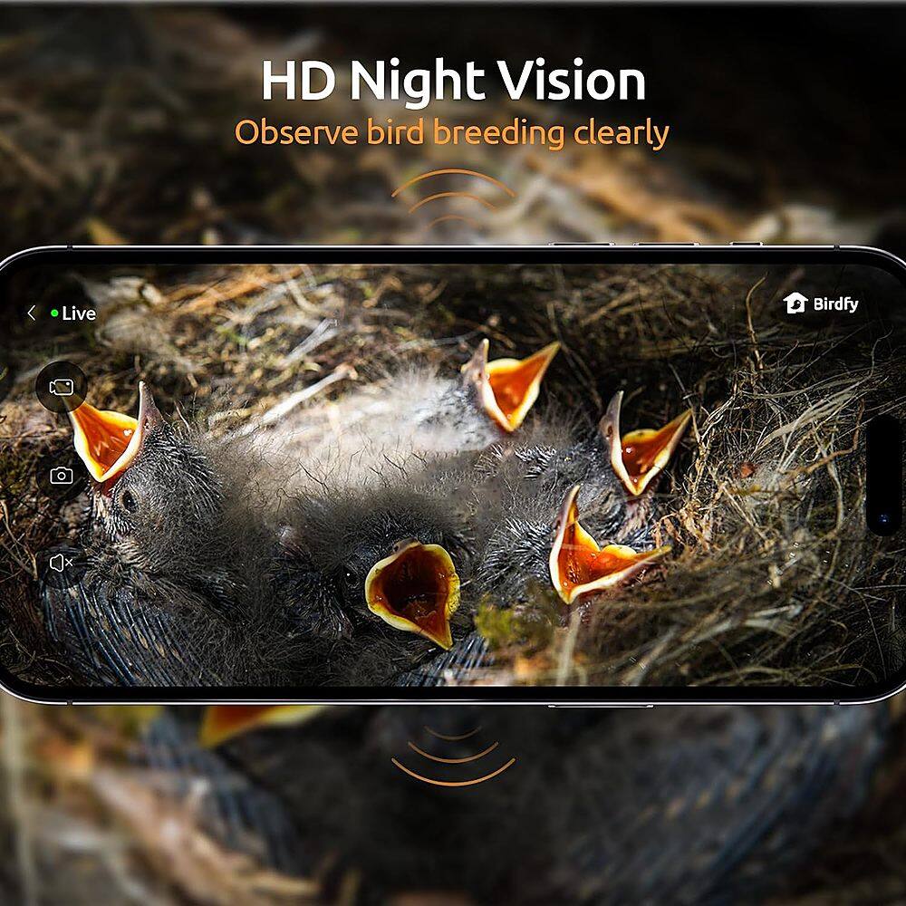 "HD Night Vision Observe bird breeding clearly Live Birdfy."