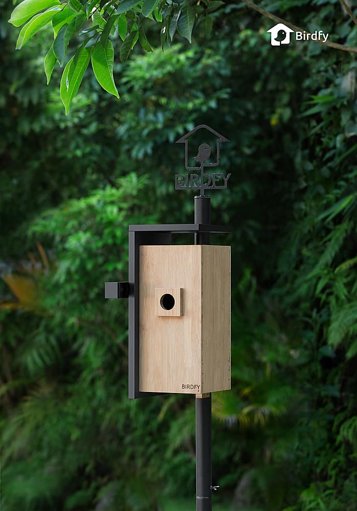 The Birdfy AI Smart Nest Bamboo w/Dual HD Cameras, Solar Power, and AI Enabled Bird Recognition – Natural Bamboo & Black Sansujyuku sansujyuku.com