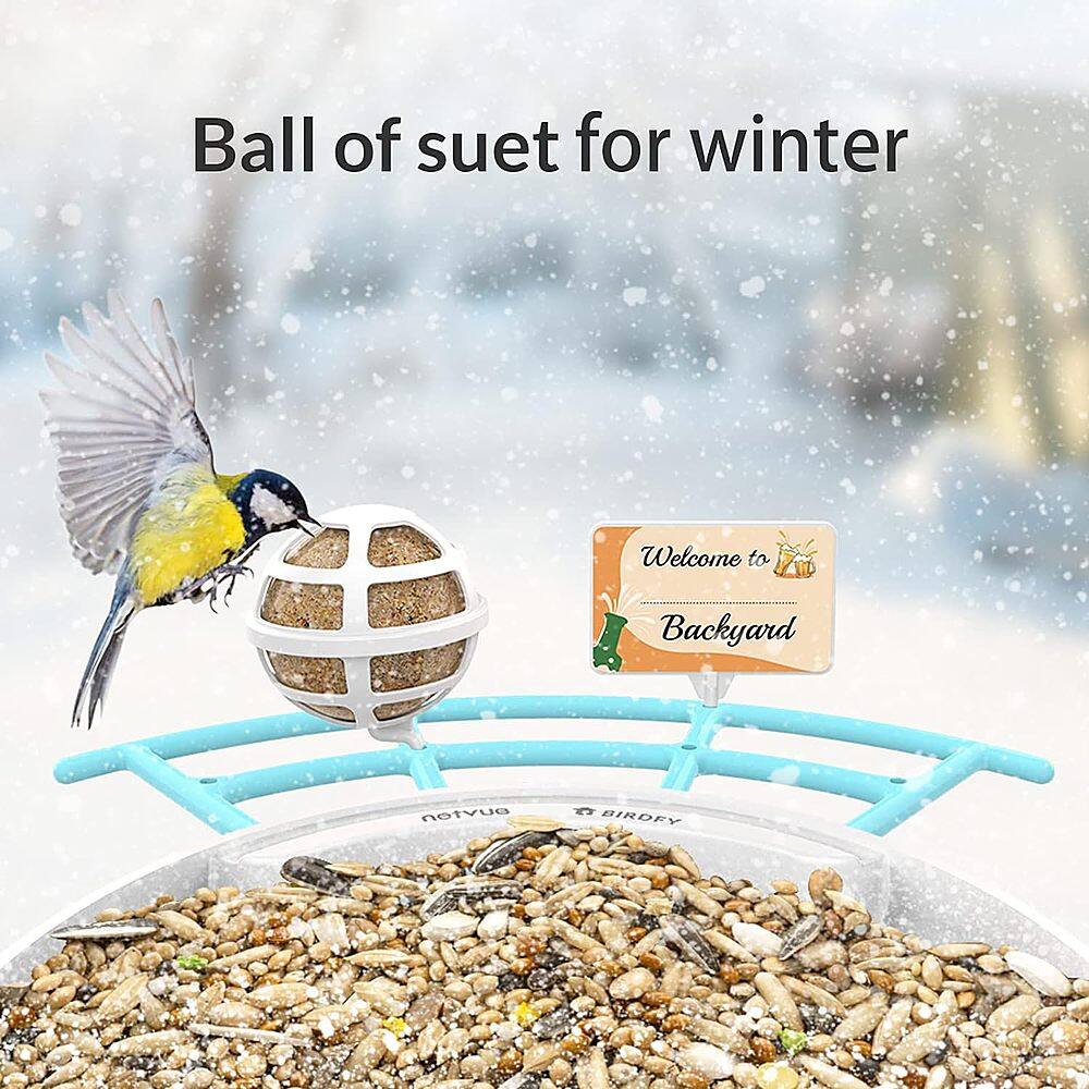 Ball of suet for winter Welcome to Backyard Birds
