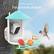 Birdfy pro perch For all kinds of birds netvue Welcome to Backyard