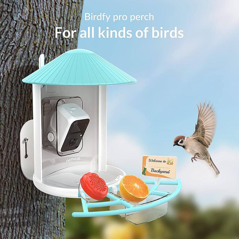 Birdfy pro perch For all kinds of birds netvue Welcome to Backyard