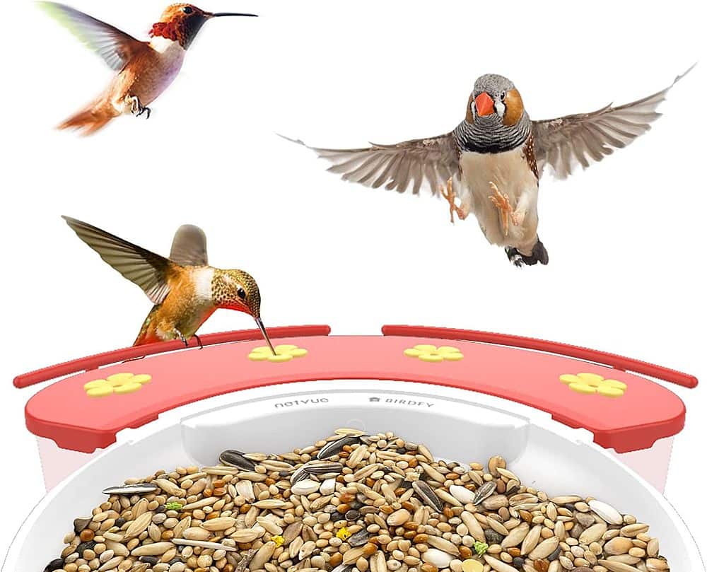 The text on the image reads "netvue BIRDEY."