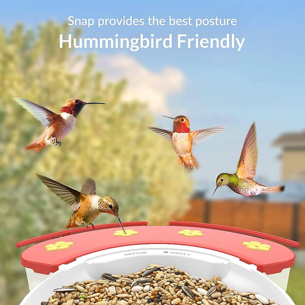 Snap provides the best posture Hummingbird Friendly netvue BIRDFY.