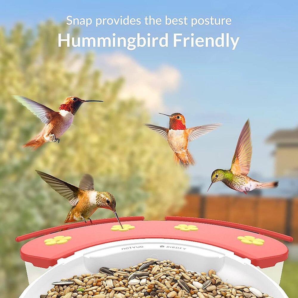 Snap provides the best posture Hummingbird Friendly netvue BIRDFY.