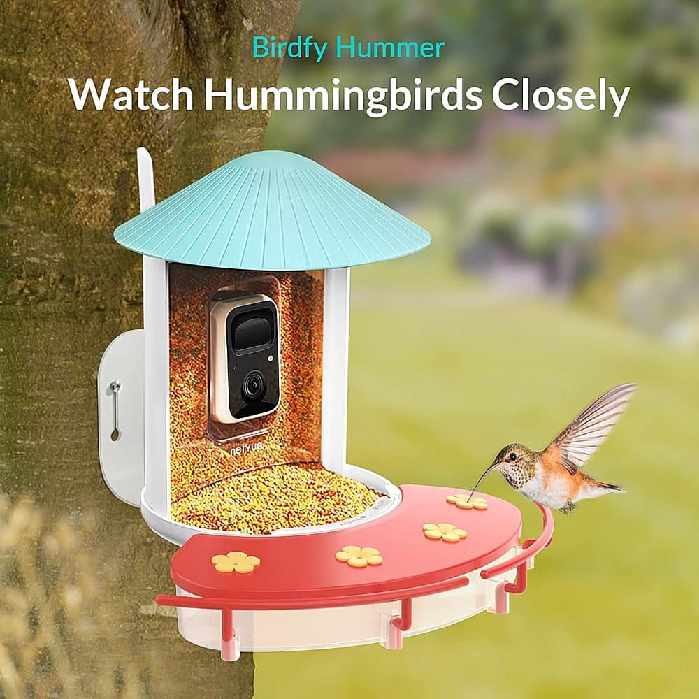 Birdfy Hummer Watch Hummingbirds Closely netvue