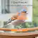 7-Day Free AI Auto-identify 6000+ Bird Species Chaffinch