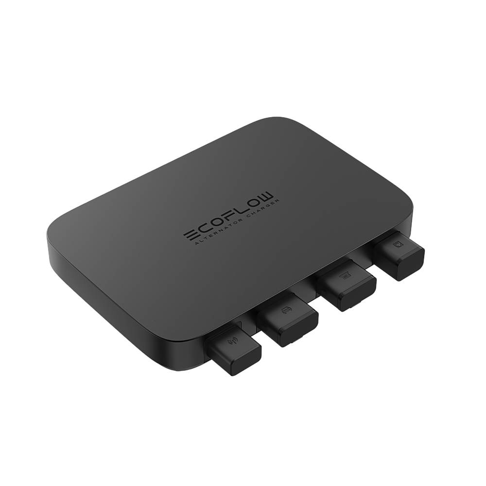 The text on the image reads "ecoflow alternator 010".