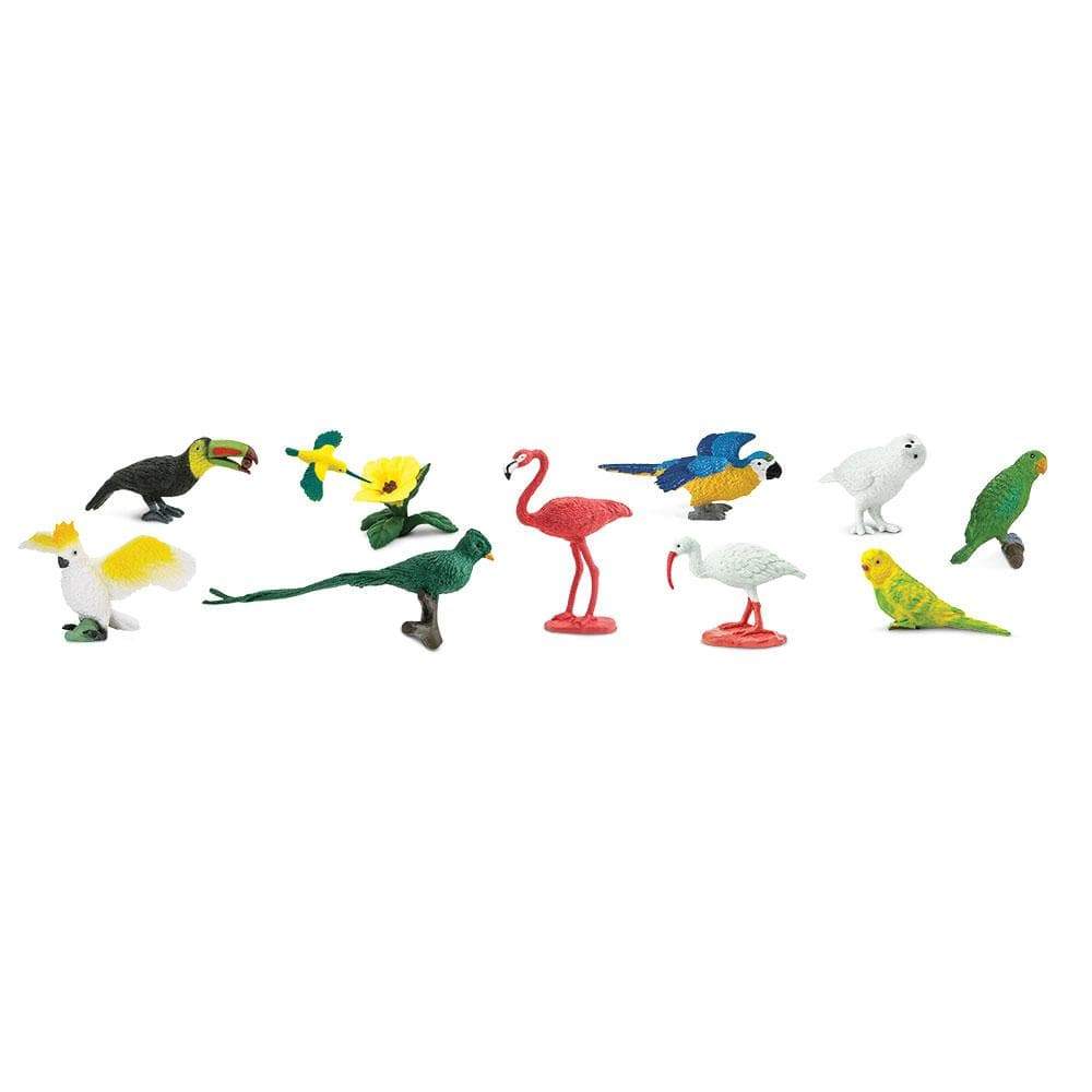 Back. Safari Ltd. - Exotic Birds Toob Toy.