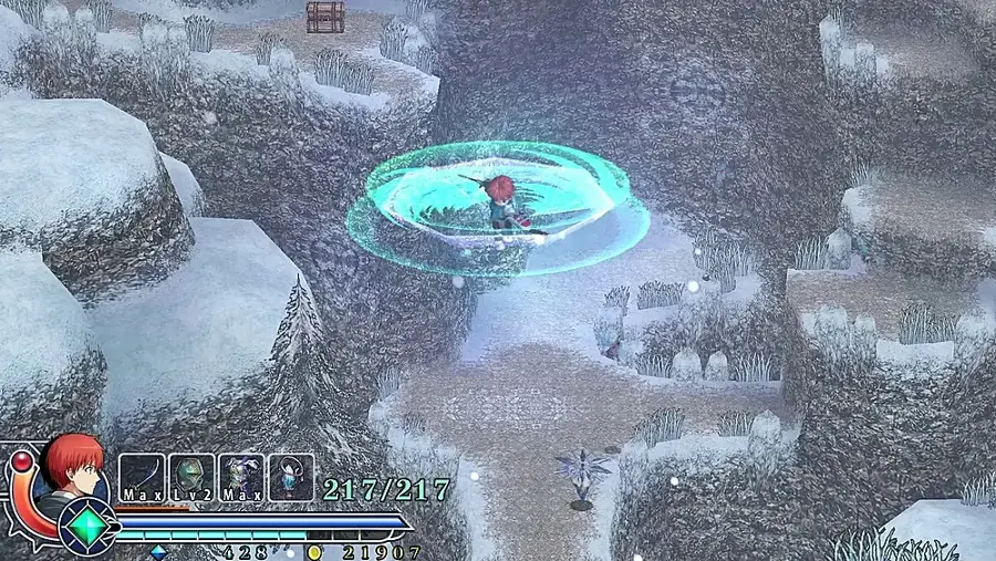 Max a Lv2 L 2 Max 217/217 428 2 21907