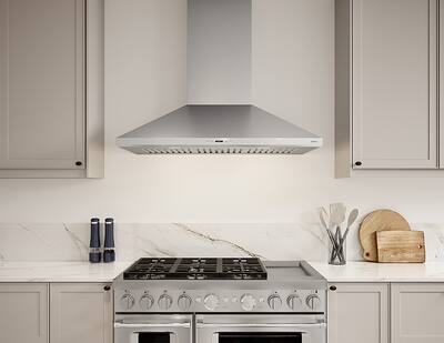 Zephyr 42 inches Externally Vented Wall Range Hood Stainless
