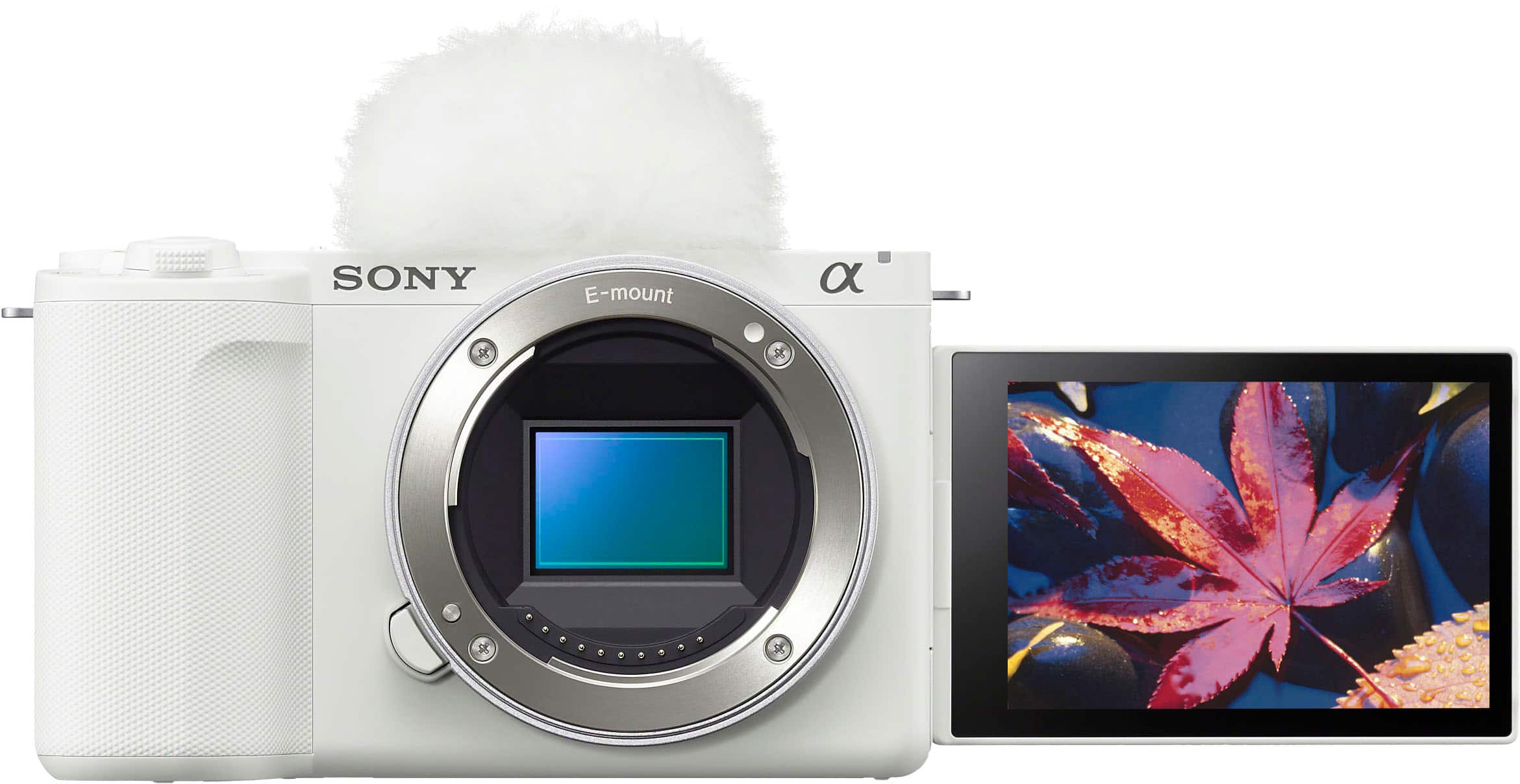 Sony E-mount camera with a microphone attached to the top.