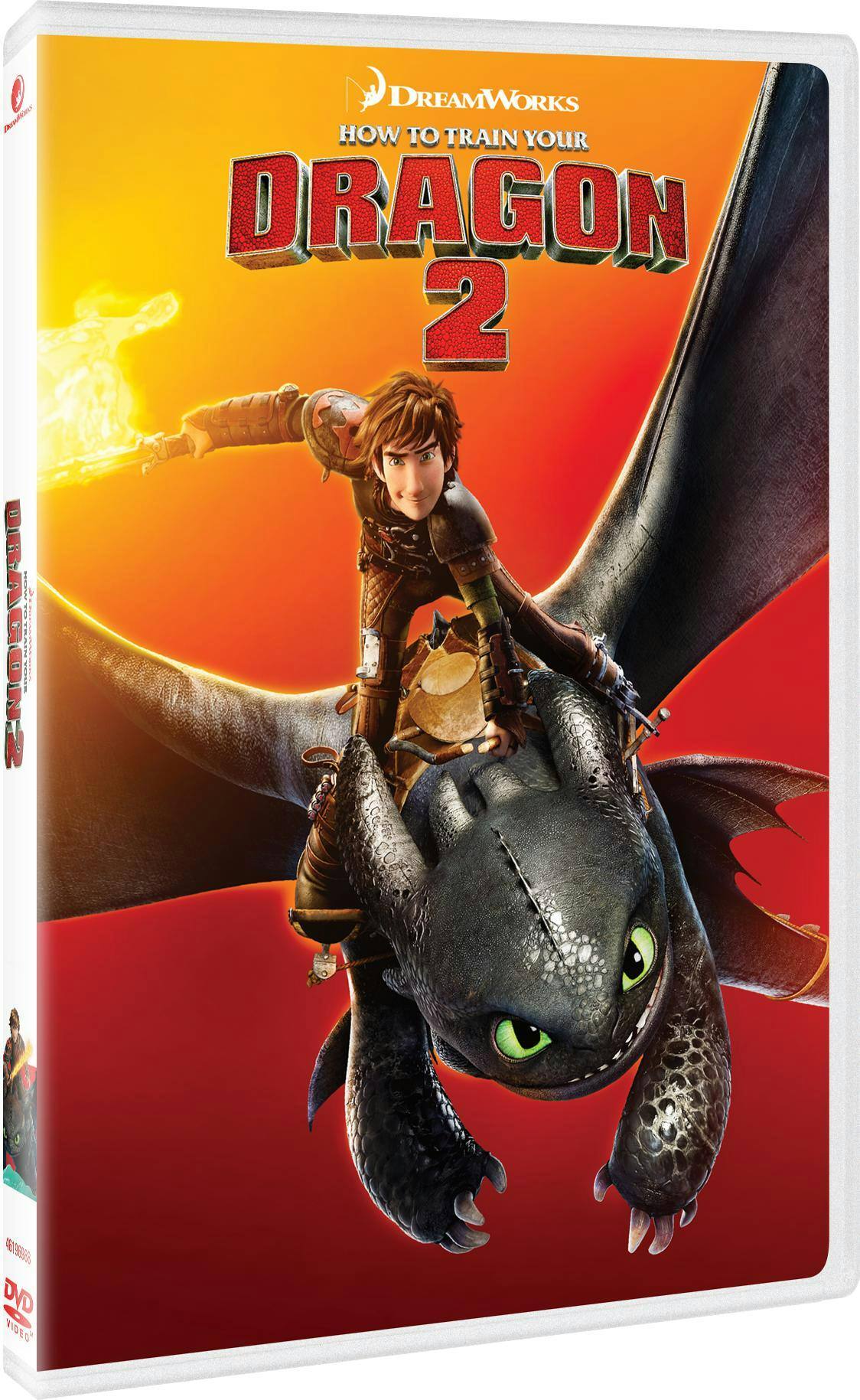 Angle. How to Train Your Dragon 2   - DVD.
