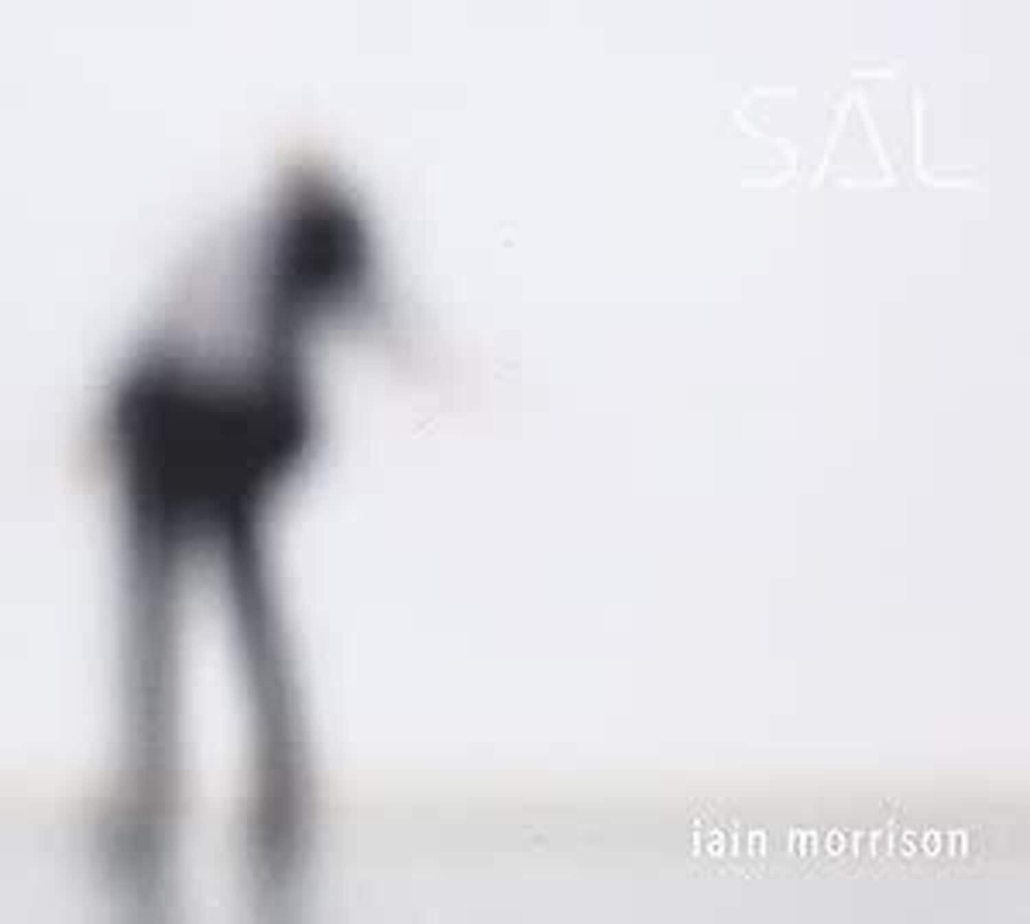 Iain Morrison - Sal  - COMPACT DISCS