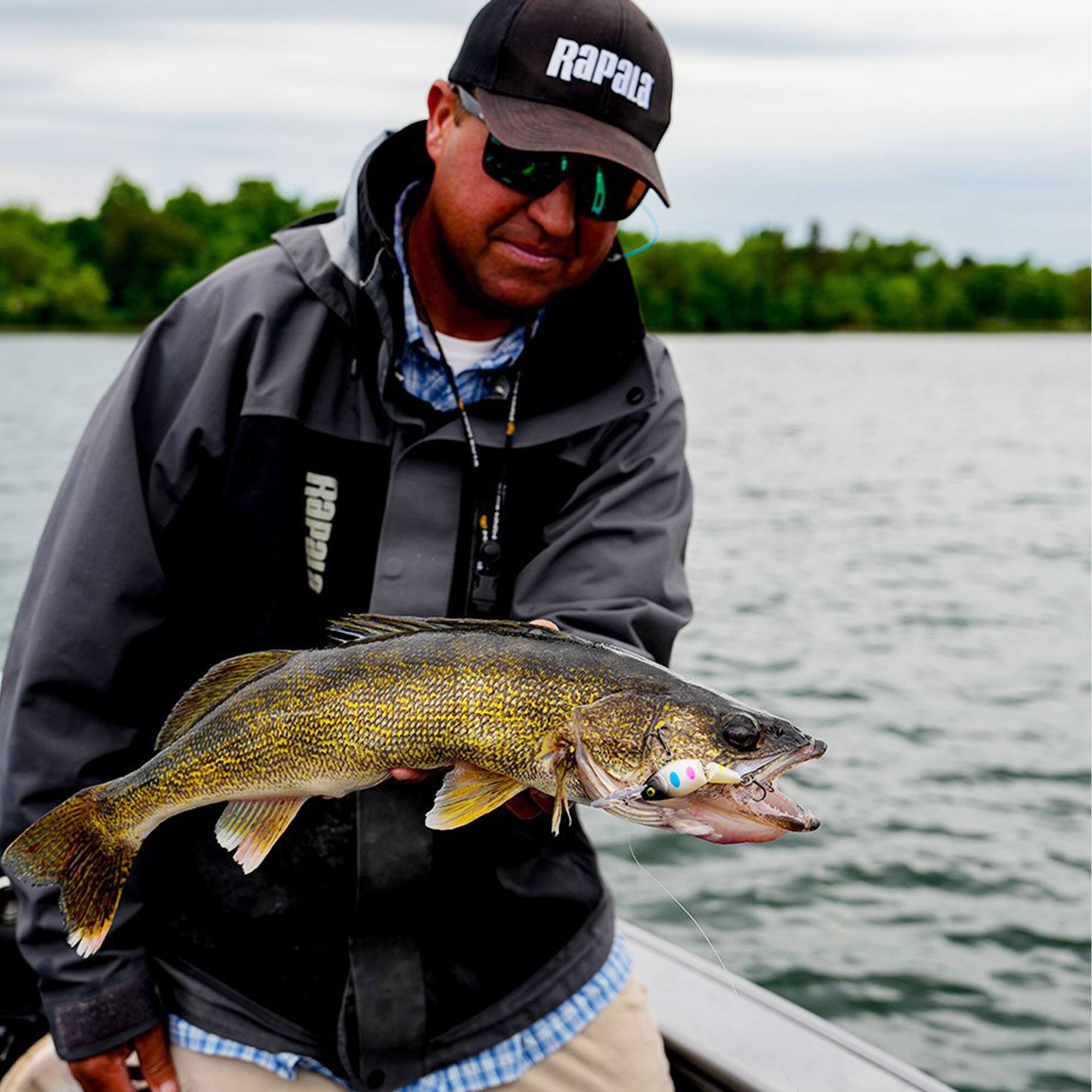 Rapala