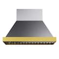 Kucht - 48 inches - Externally Vented - Wall Range Hood - Stainless Steel & Gold