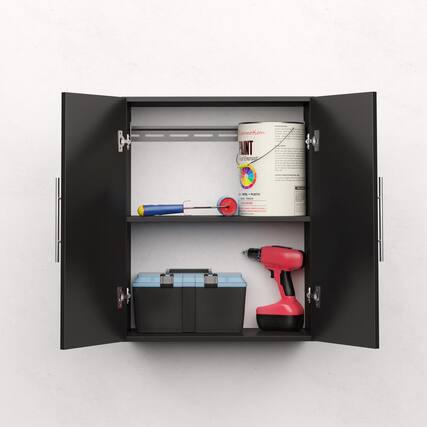 Extraction AINT o Encrust
PLALI - O