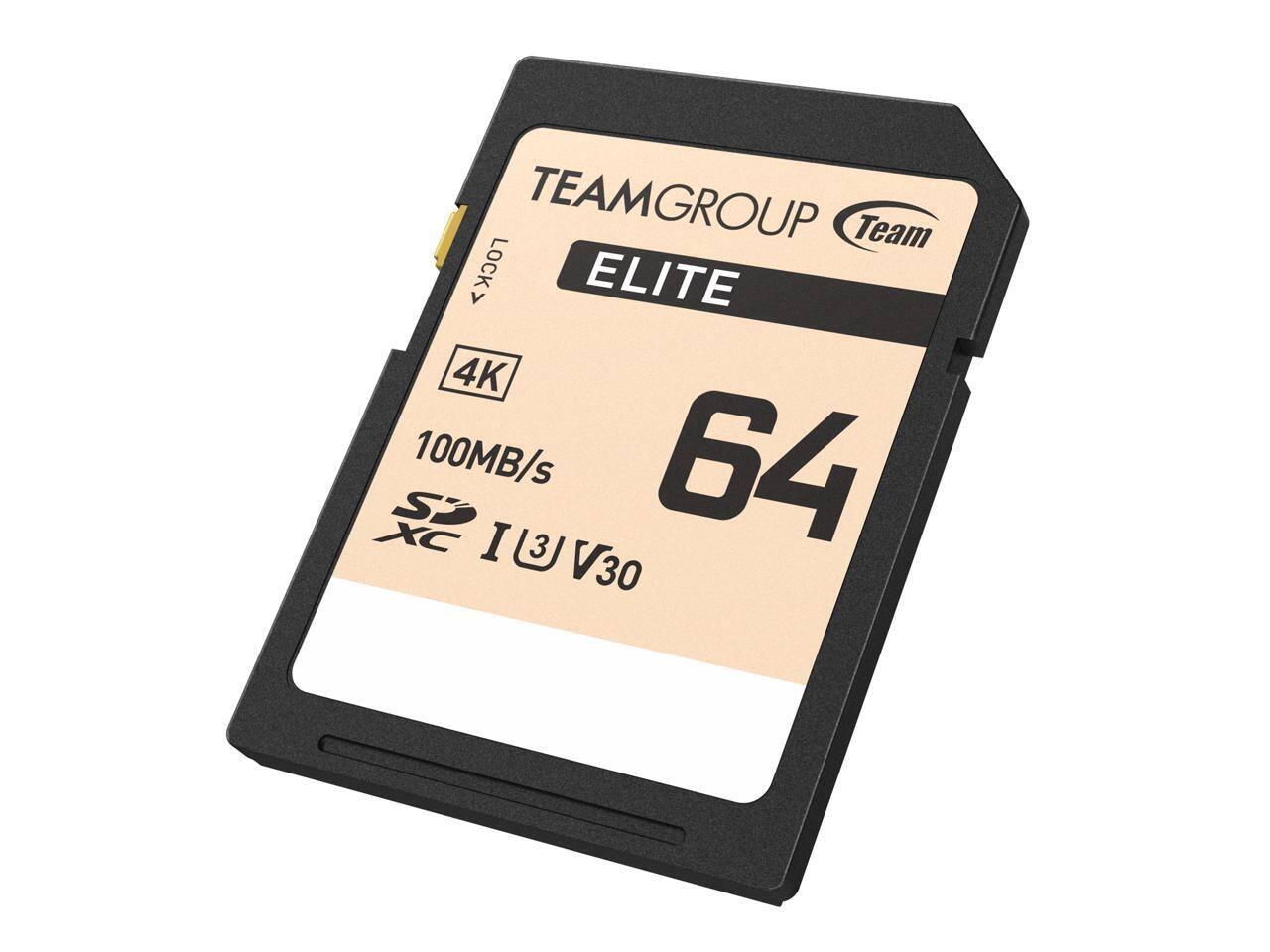 TEAMGROUP Team LOCK ELITE V 4K 100MB/s 64GB I3 V30