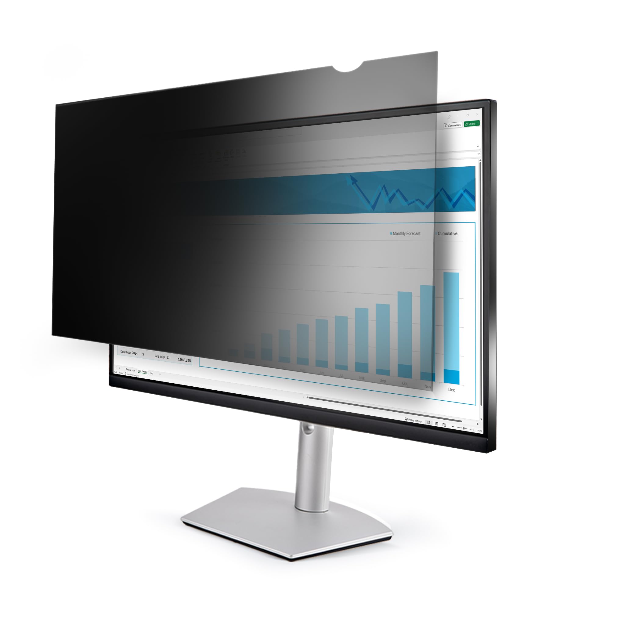 Startech 25 inch 16:9 Computer Monitor Privacy Screen Transparent ...