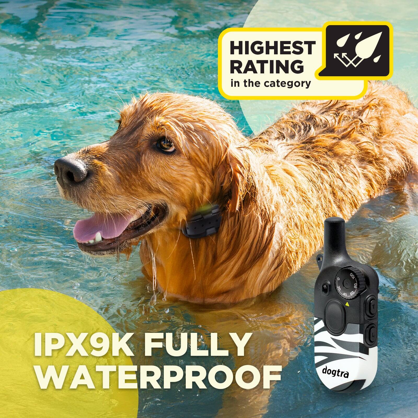 HIGHEST RATING in the category

IPX9K FULLY WATERPROOF

dogtra