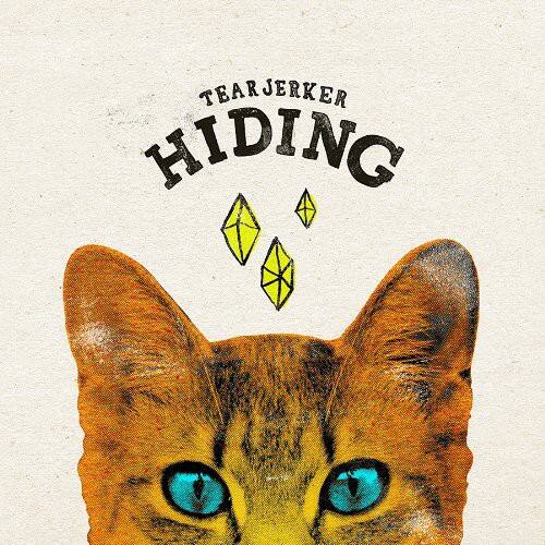 Tearjerker - Hiding   - 12-INCH SINGLE [12 inch Vinyl Single] price history on PriceWatchPro