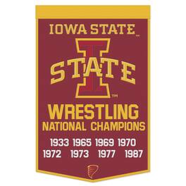 WinCraft - Iowa State Cyclones 24" x 38" Wool Championship Banner - Multicolor